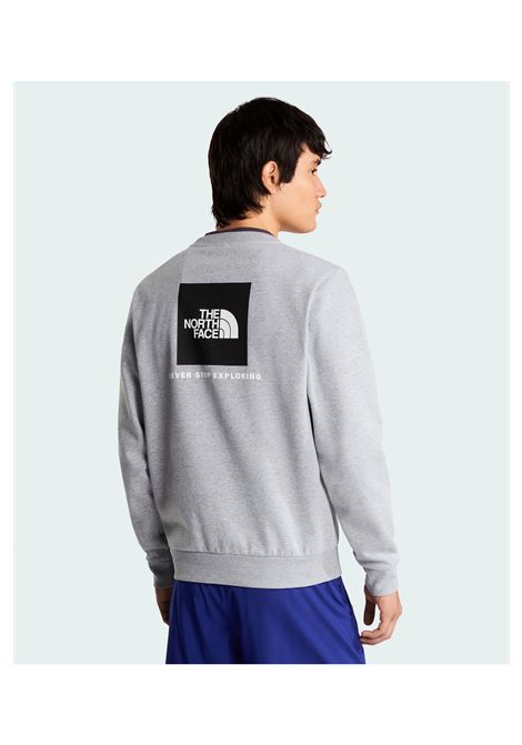 The North Face Evolution Box NSE Regular Crewneck Sweatshirt Grey Men THE NORTH FACE | Sweatshirts | NF0A8FD3-CQO